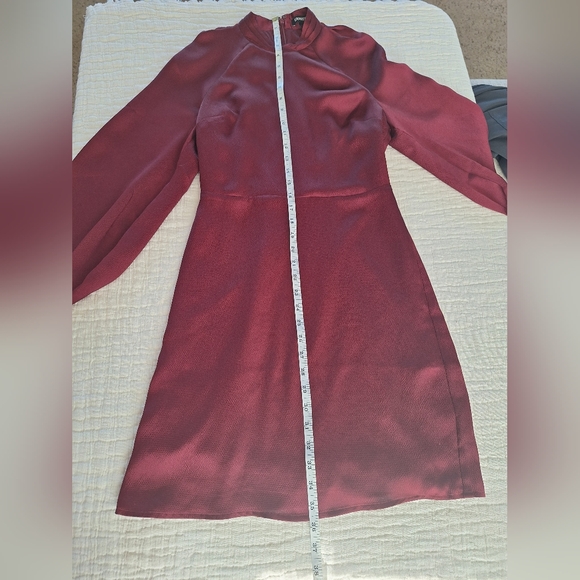 Express Burgundy Satin Long Sleeve Mini Dress - Picture 5 of 11